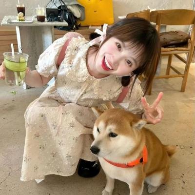 龙与雀斑公主
